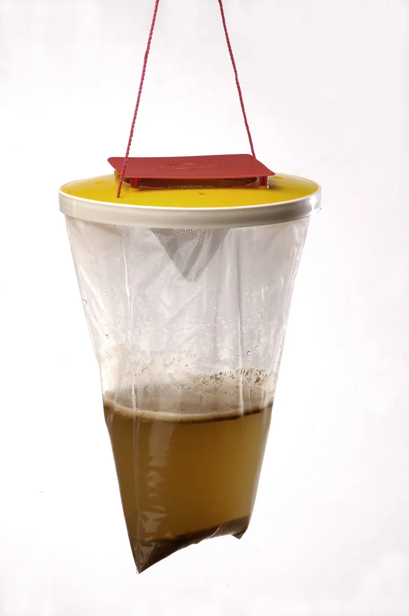 Redtop Capcana Prindere Muste/Insecte XL 8L 30000