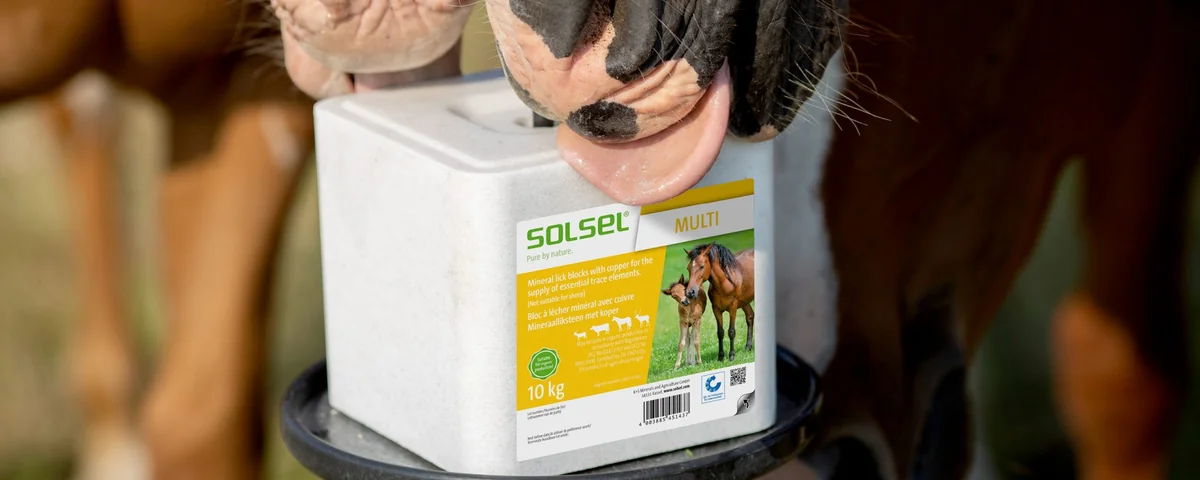 Solsel Sare Cu Minerale/Cupru Multi Bloc 10 Kg