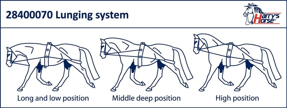 Harry's Horse Lunging Rein 2840070
