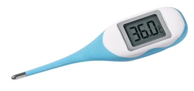 Kerbl Termometru Digital 2130