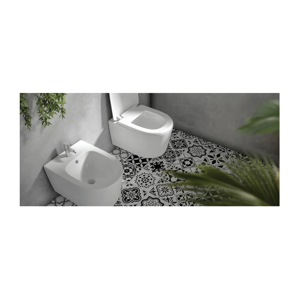 Vas Bideu Montaj Suspendat Celesta Vista 50 x 35 cm Ceramica Alb Lucios