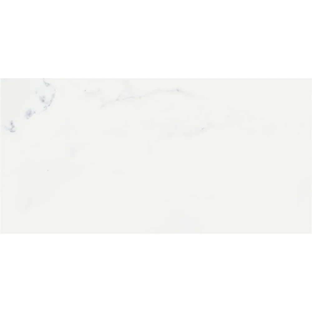 Gresie Exterior / Interior Portelanata Classic Calacatta 60 x 30 cm Mata Tip Marmura