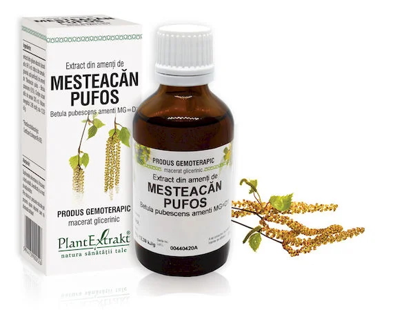Extract Din Seva De Mesteacan, 50ml, PlantExtrakt