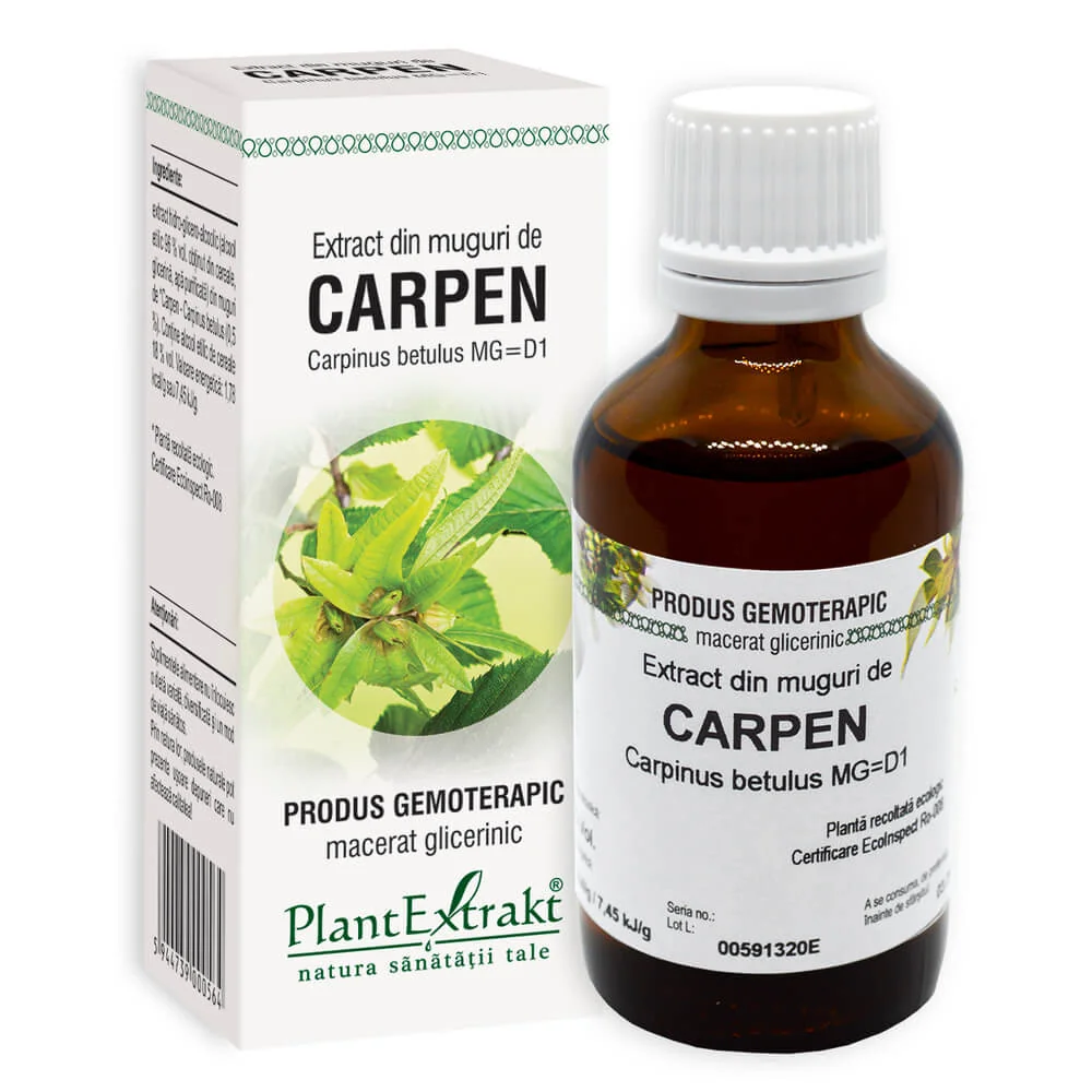 Extract Din Muguri De Carpen, 50ml, PlantExtrakt