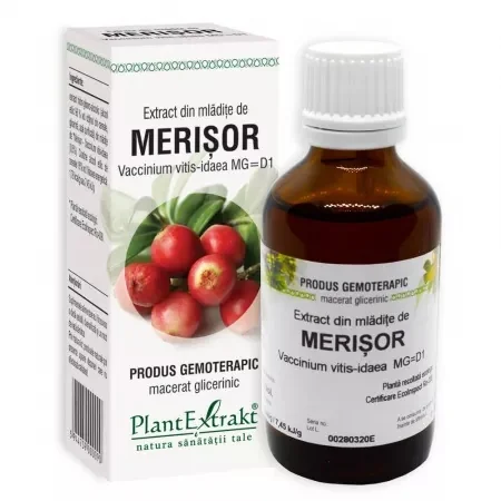 Extract Din Mladite De Merisor, 50ml, PlantExtrakt