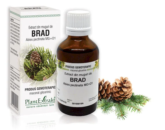 Extract Din Muguri De Brad, 50ml, PlantExtrakt