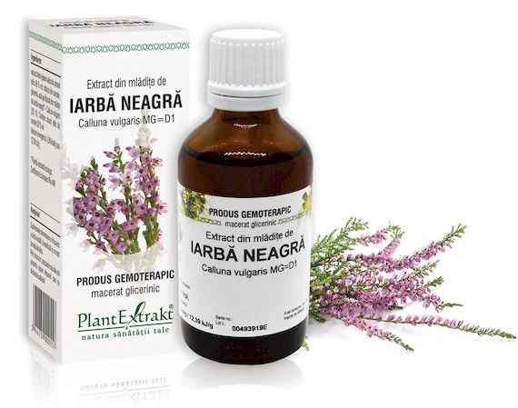 Extract Din Mladite De Iarba Neagra, 50ml, PlantExtrakt