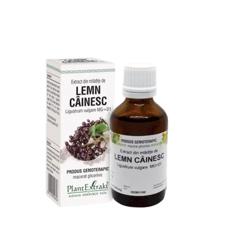 Extract Din Mladite De Lemn Cainesc, 50ml, PlantExtrakt