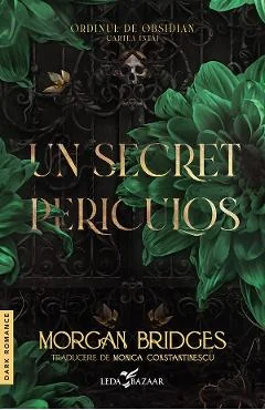 eBook Un secret periculos. Seria Ordinul de obsidian. Cartea 1 - Morgan Bridges
