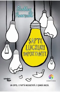 Ebook Sapte Lucruri Importante