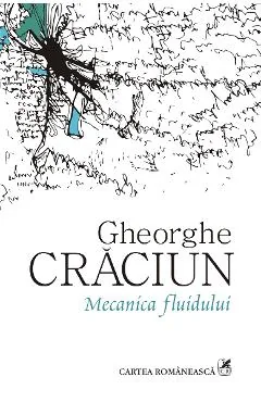 Ebook Mecanica Fluidului - Gheorghe Crăciun