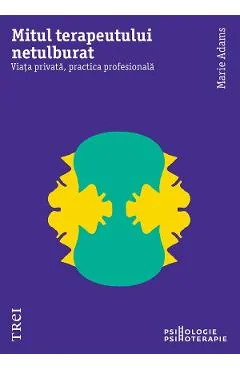 Ebook Mitul Terapeutului Netulburat: Viața Privată, Practica Profesională
