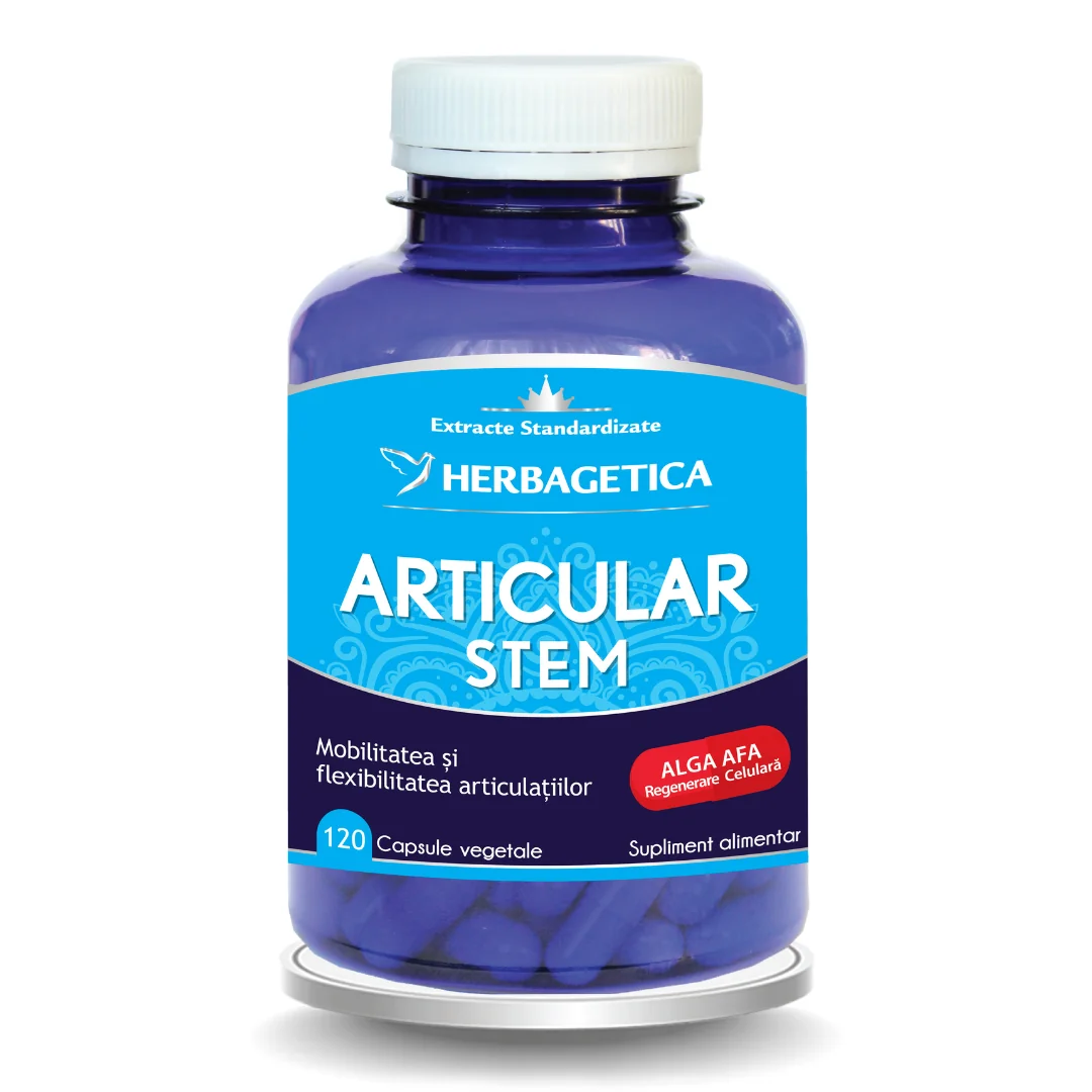 Articular Stem, 120 Capsule, Herbagetica