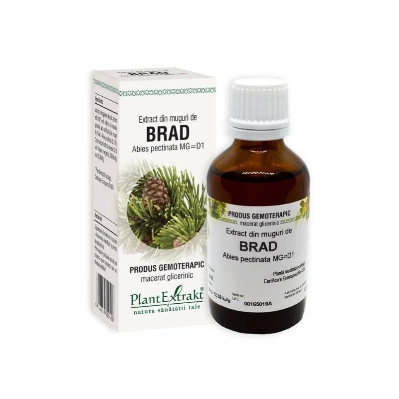 Extract Din Muguri De Brad, 50 Ml, Plant Extrakt