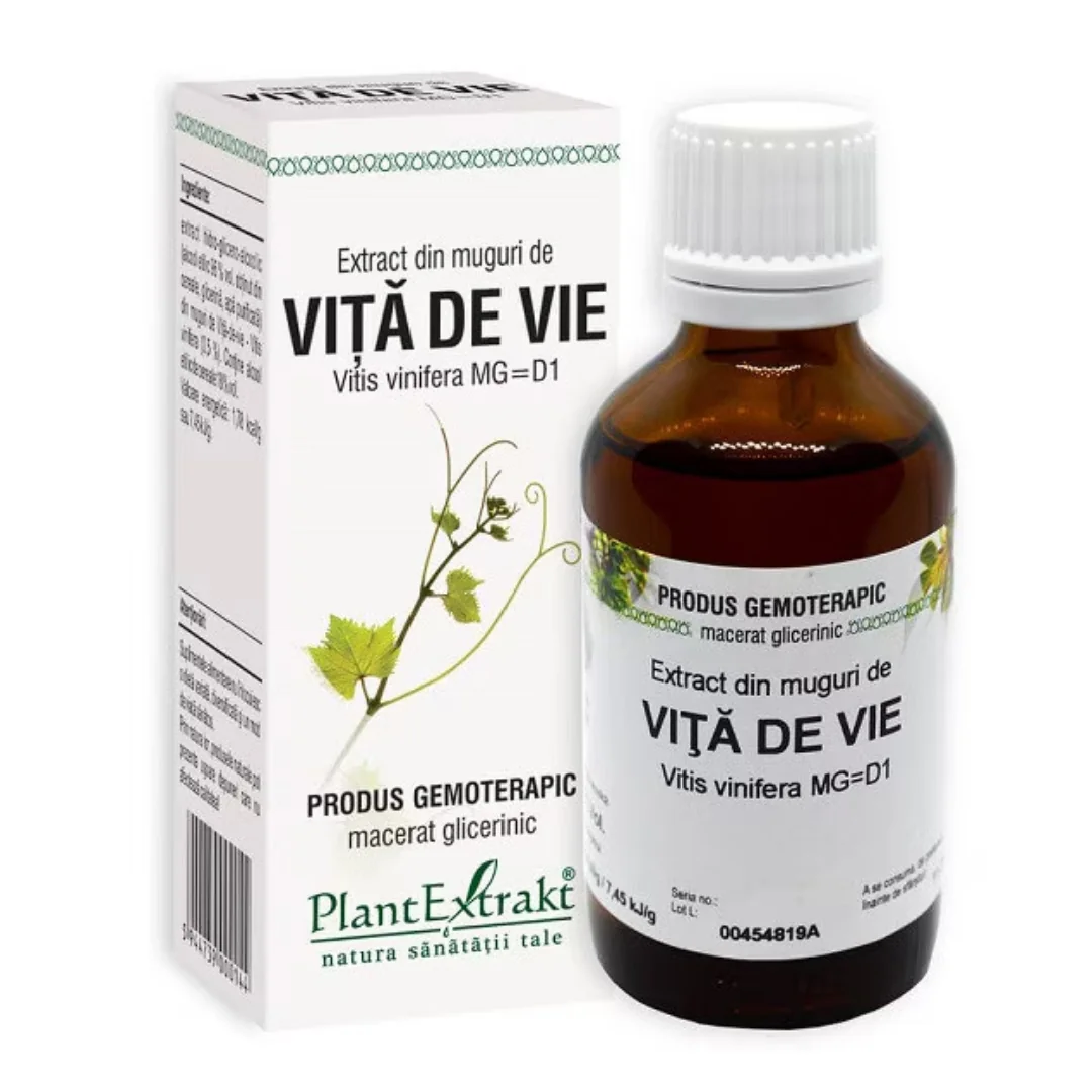 Extract Din Muguri De Vita De Vie, 50 Ml, Plant Extrakt