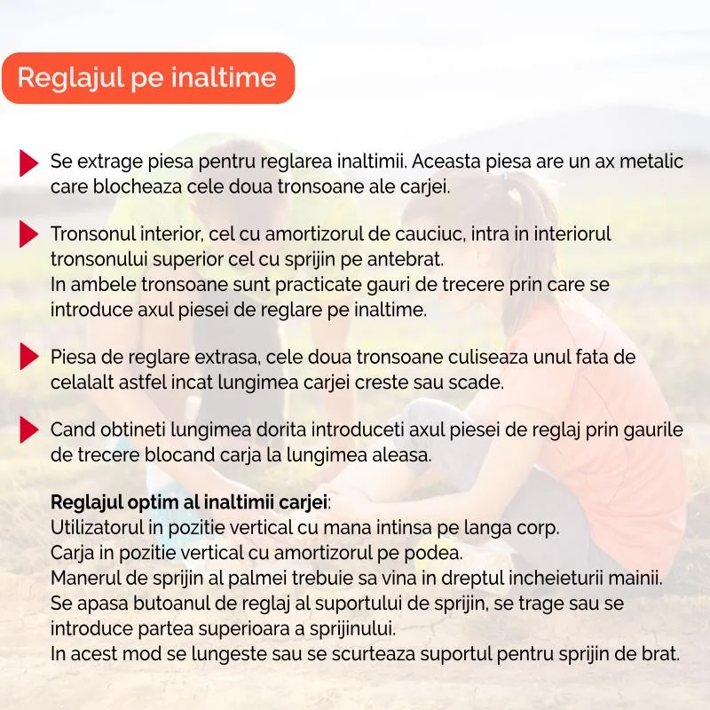 Carja Ergonomica Premium Beige, 1 Bucata