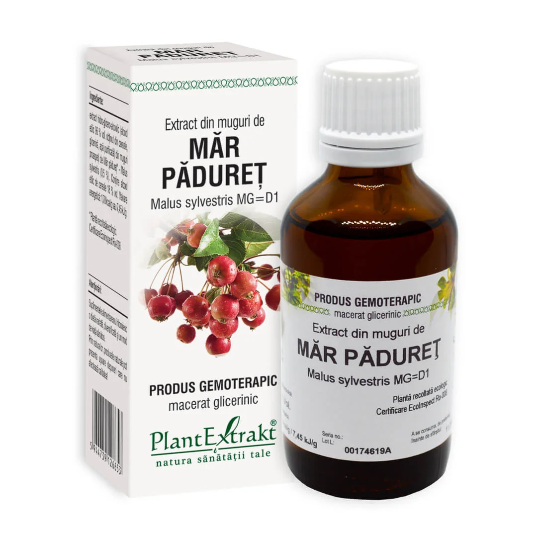 Extract Din Muguri De Mar Pădureț, 50 Ml, Plant Extrakt