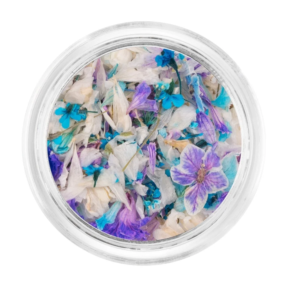 Flori Uscate Unghii LUXORISE - Cosmic Petal