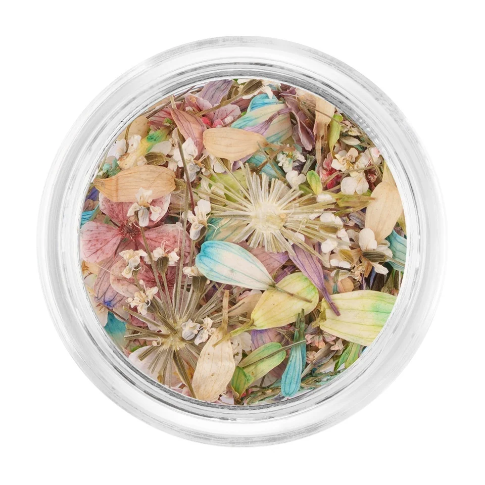 Flori Uscate Unghii LUXORISE - Frozen Spring