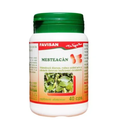 Mesteacan 40 capsule Favisan