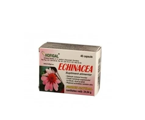 Echinacea 500 mg 40 capsule