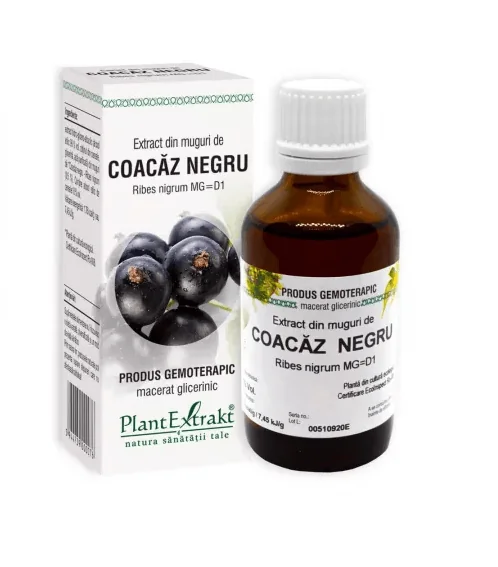 Extract din muguri de Coacaz Negru 50 ml