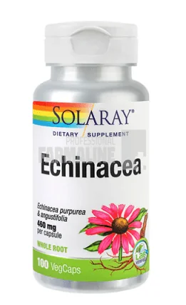 Echinacea 100 capsule