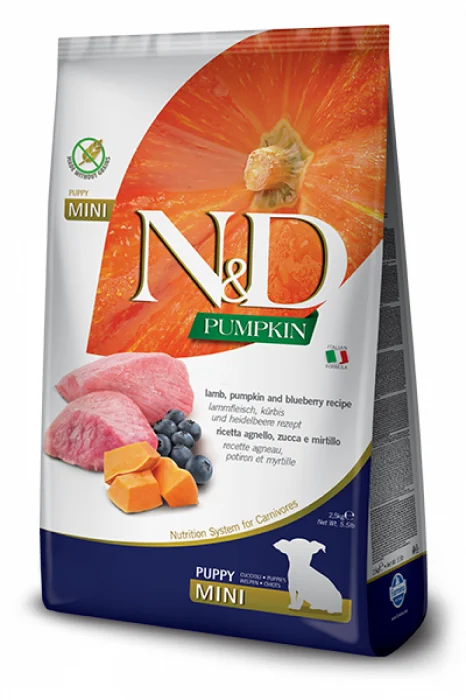 ND Pumpkin caine puppy mini cu miel, afine si dovleac 2,5KG