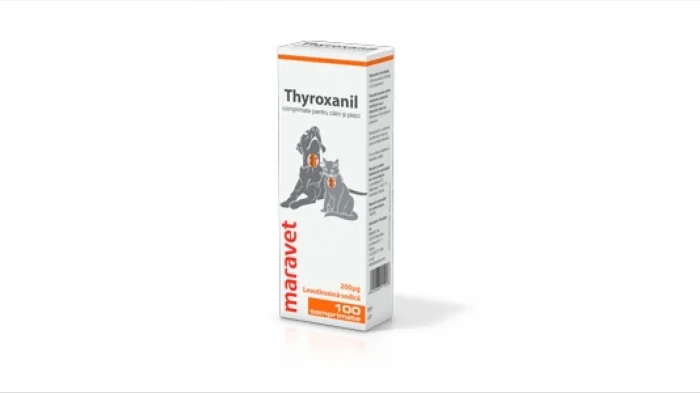 Thyroxanil 200 μg, 100 comprimate