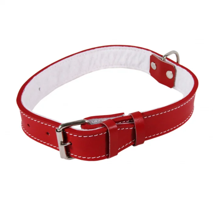 Zgarda Piele Tip 30 (65 Cm 30 Mm) Cu Pasla - Rosu