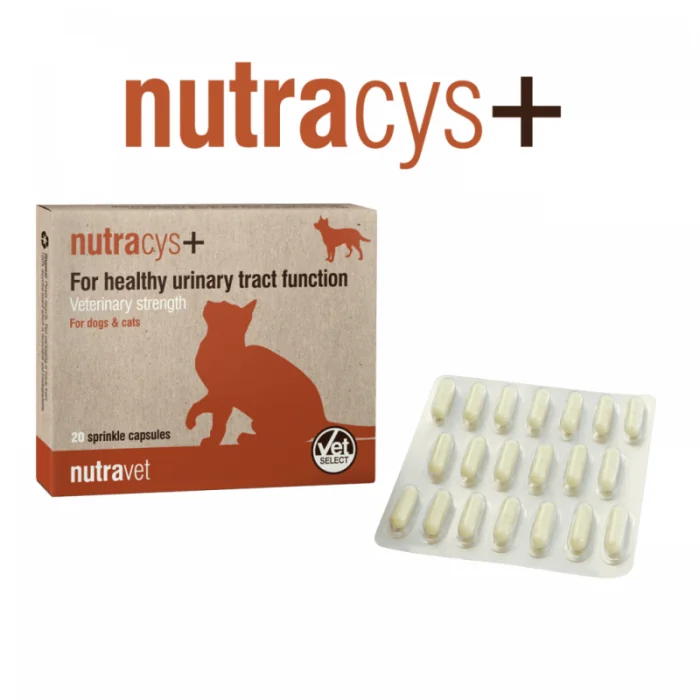 Nutravet  Nutracys+ (Nutraease) 20 cps - caini si pisici