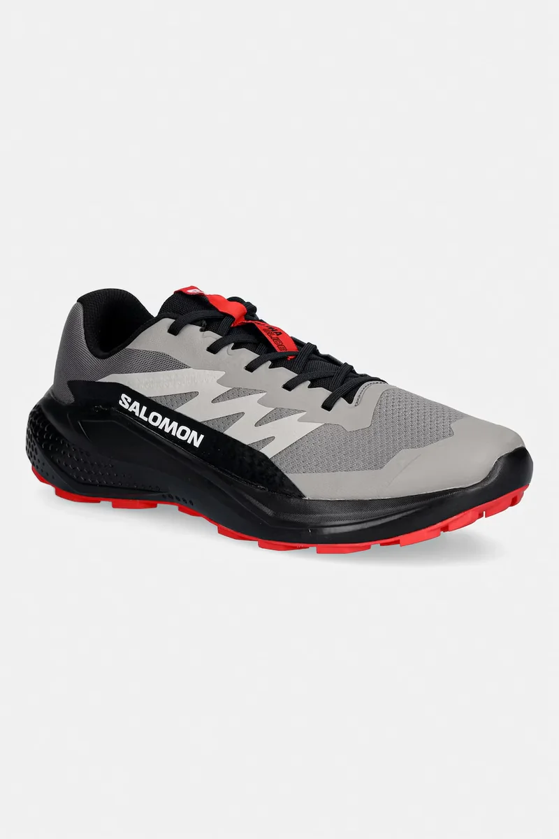 Salomon pantofi ALPHAGLIDE