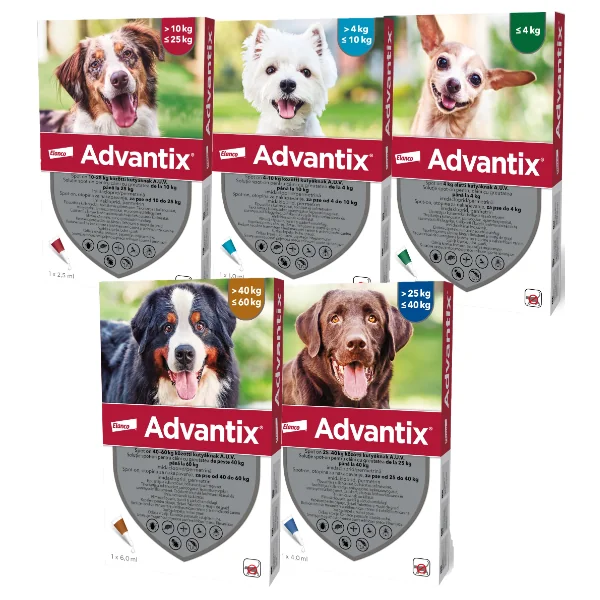 Advantix Pipeta Caine - s