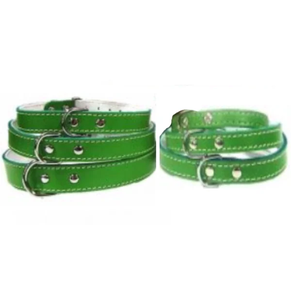Pet Expert Zgarda Pasla Verde - nr-1