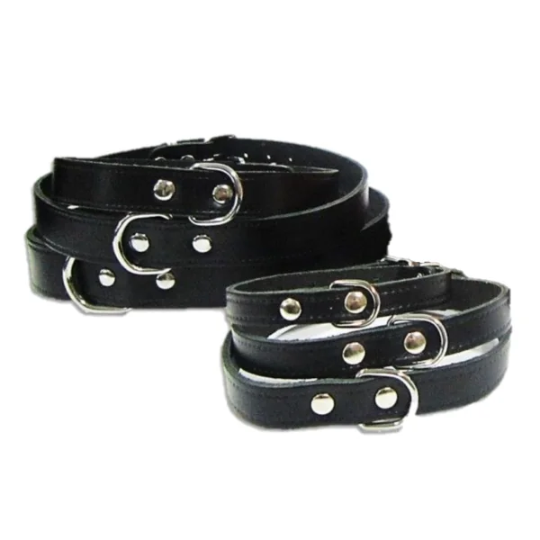 Pet Expert Zgarda Clasic - nr-10