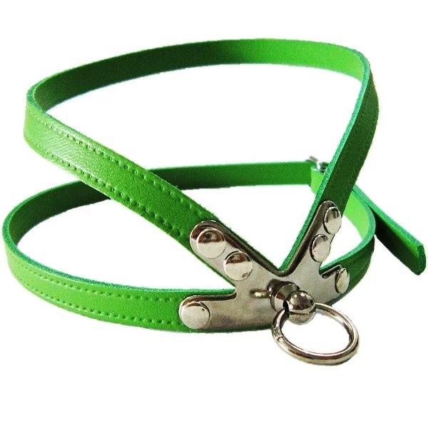 Pet Expert Ham Clasic Verde - pet-expert,nr-1