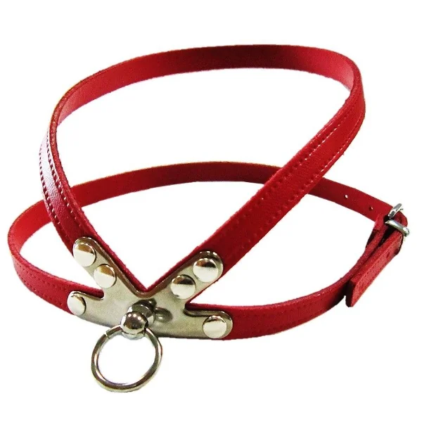 Pet Expert Ham Clasic Rosu - pet-expert,nr-1