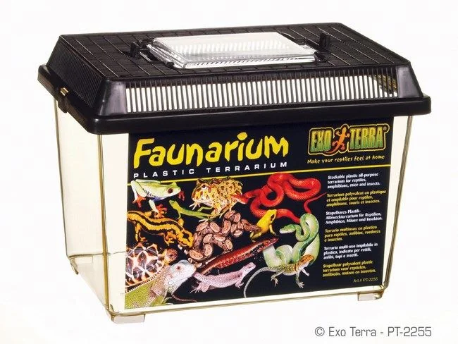 Exo Terra Faunarium Flat Medium PT 2300