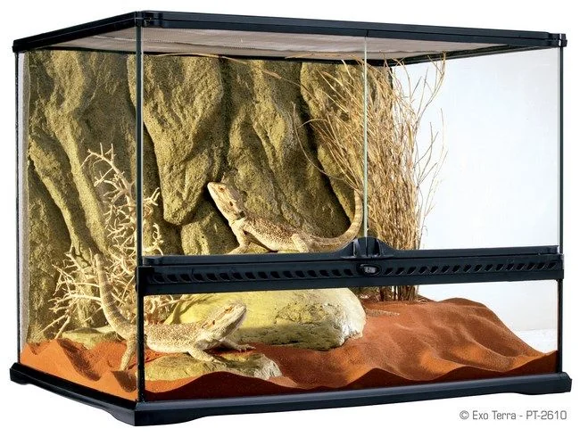 Exo Terra Terariu Sticla 60x45x45 cm PT2610