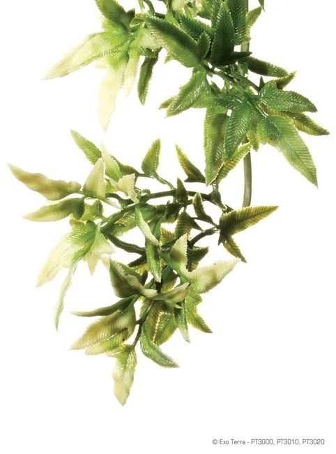 Exo Terra Planta Croton Small 40 cm PT3000