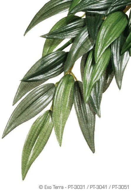 Exo Terra Planta Ruscus Small 35 CM PT3031