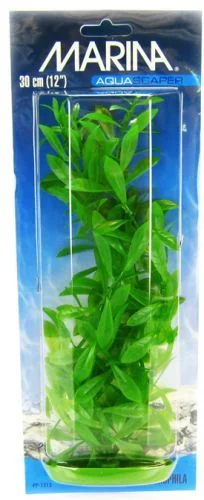 Marina Plante Hygrophila 37,5 cm PP1513