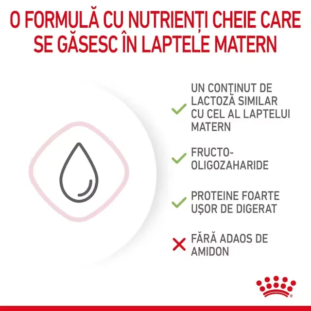 Royal Baby Cat Milk 300 g