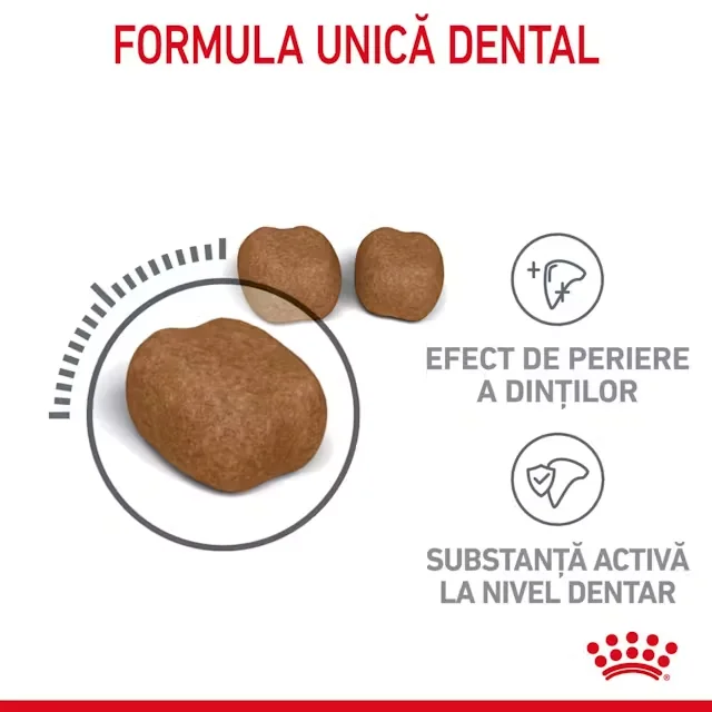 Royal Canin Felin Dental Care 400 g