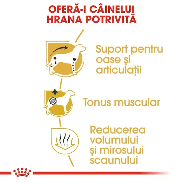 Royal Canin Dachshund Adult 1.5 Kg
