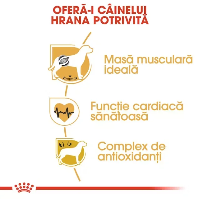 Royal Canin Boxer Adult