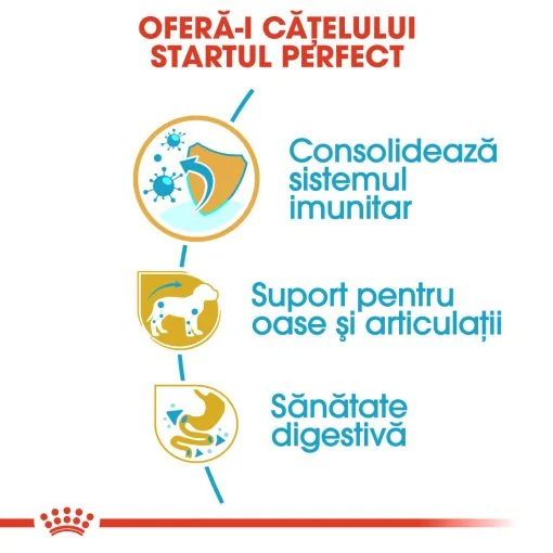 Royal Canin Dachshund Puppy 1.5 kg