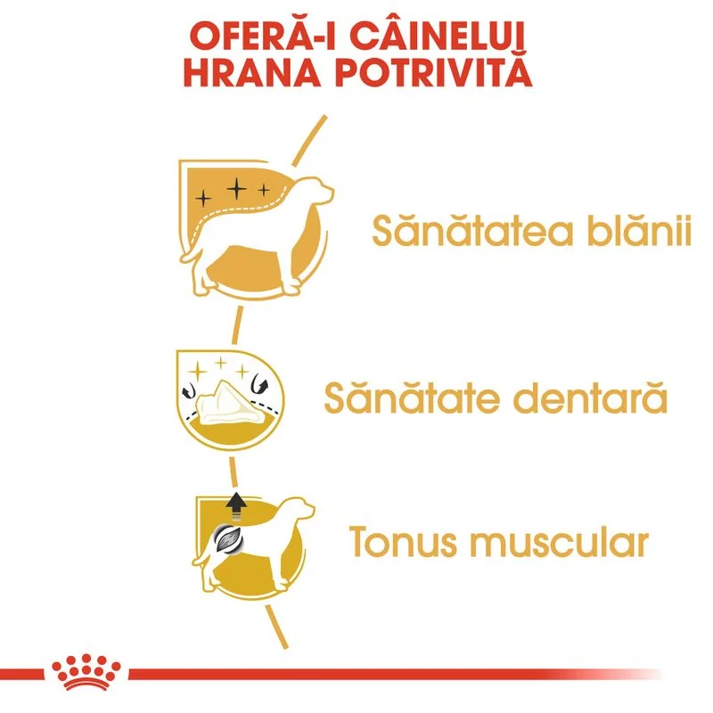 Royal Canin Poodle 1.5 kg