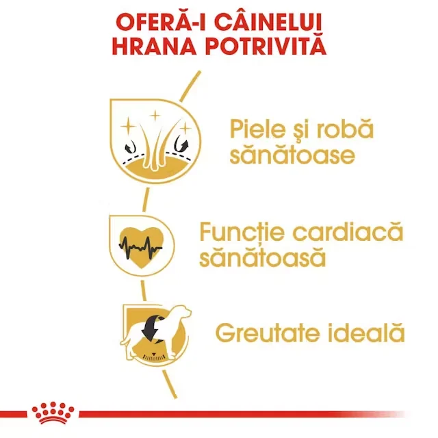 Royal Canin Golden Retriever Adult