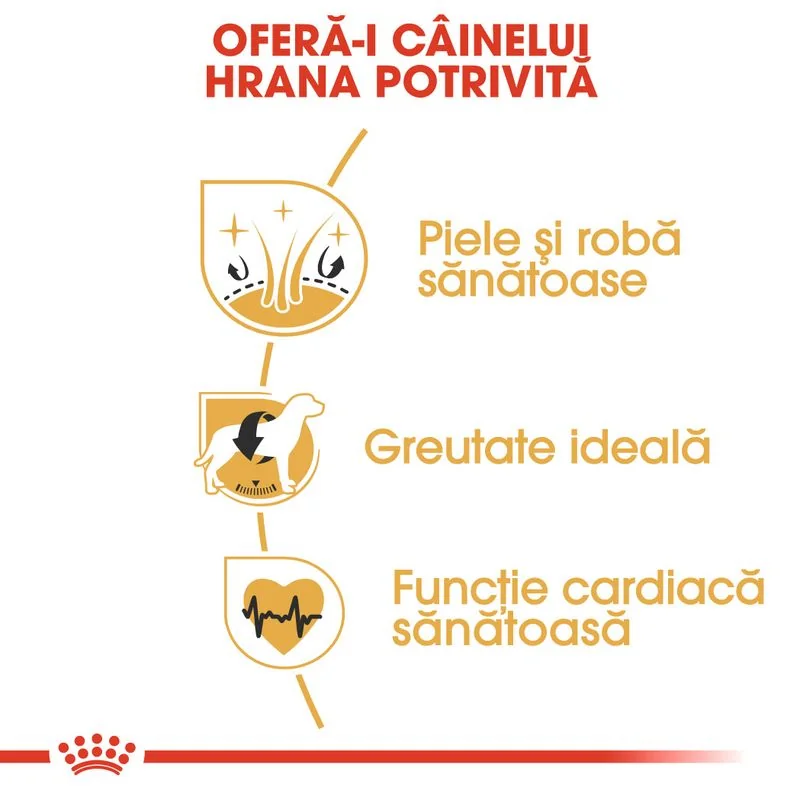 Royal Canin Cocker Adult 3 kg